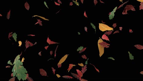 Blätter-Fallen-Herbst-Jahreszeiten-Erntedankfest-Bäume-Blatt-4k